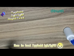 15분 장티푸스 급속 테스트 키트 대변 혈청 플라즈마 샘플 살모넬라 티피 항원 테스트