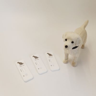 Pet Canine Parvovirus (CPV) Antigen Rapid Test for Vet