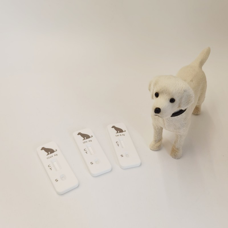Pet Canine Parvovirus (CPV) Antigen Rapid Test for Vet