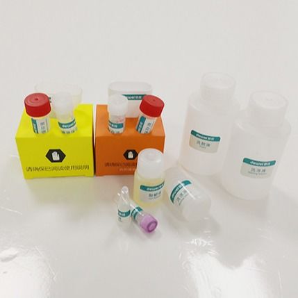 Hospital Genomic DNA RNA Extraction Kit Saliva Preservation For Clinical Experiment